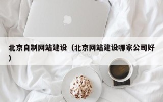 嘉兴北京自制网站建设（北京网站建设哪家公司好）