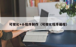 嘉兴可视化+小程序制作（可视化程序编程）